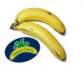 1 KG PLATANO DE CANARIAS 