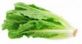 1 LECHUGA ROMANA (pieza)